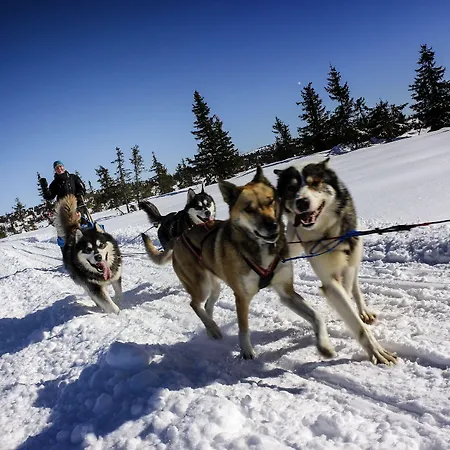 Ilsetra מלון דירות