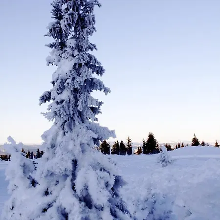 Ilsetra Hotel apartamentowy Hafjell