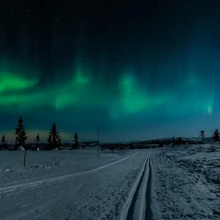 מלון דירות Ilsetra