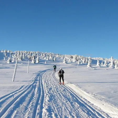 מלון דירות Ilsetra